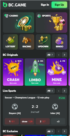 Premium High Rollers - BC.Game Online Casino Experience for 2
