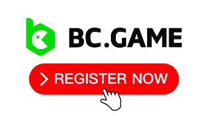 Comprehensive Guide to BC Game Registration 3
