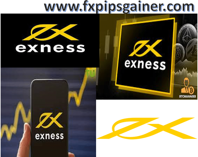 Comprehensive Guide to Exness Thailand Broker