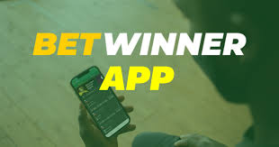 Baji Online Cricket Betting A Practical Guide for Players